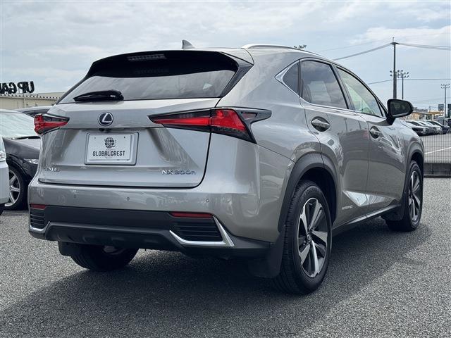 Lexus NX 5