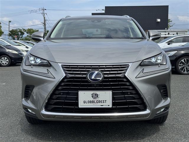 Lexus NX 6