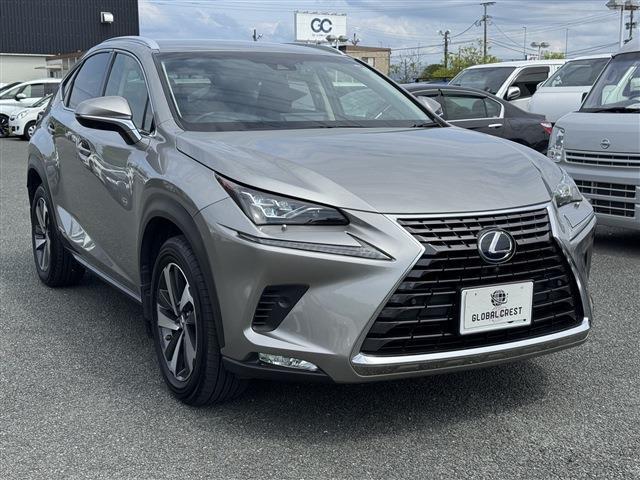 Lexus NX 7