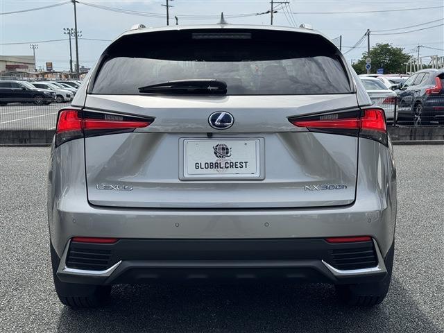 Lexus NX 9