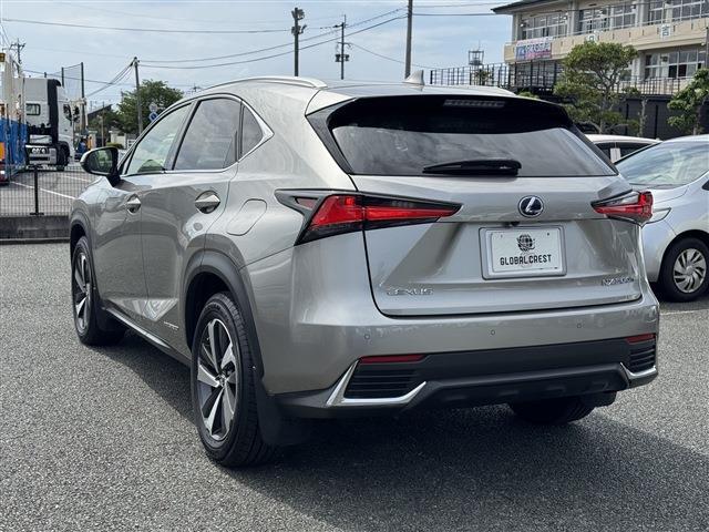 Lexus NX 10