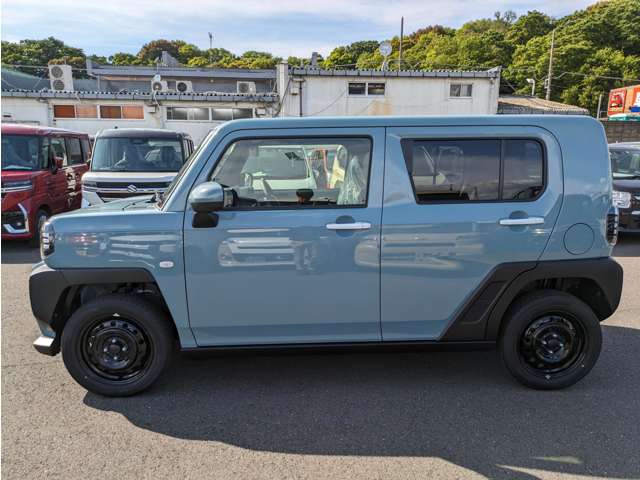 Daihatsu Taft 11