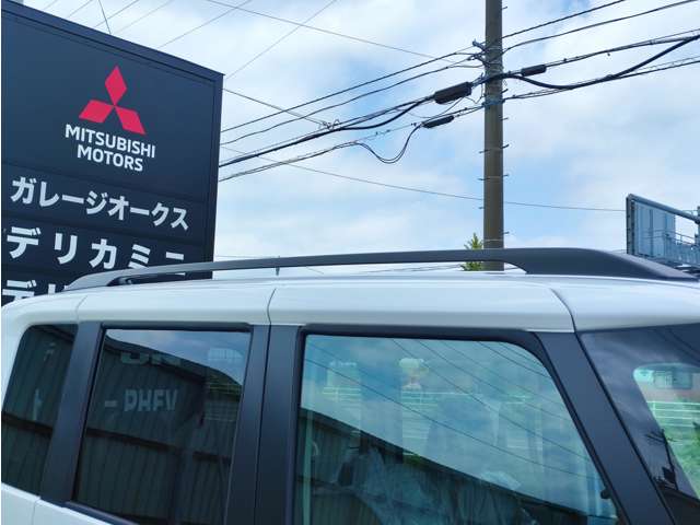 Mitsubishi Delica Mini 3