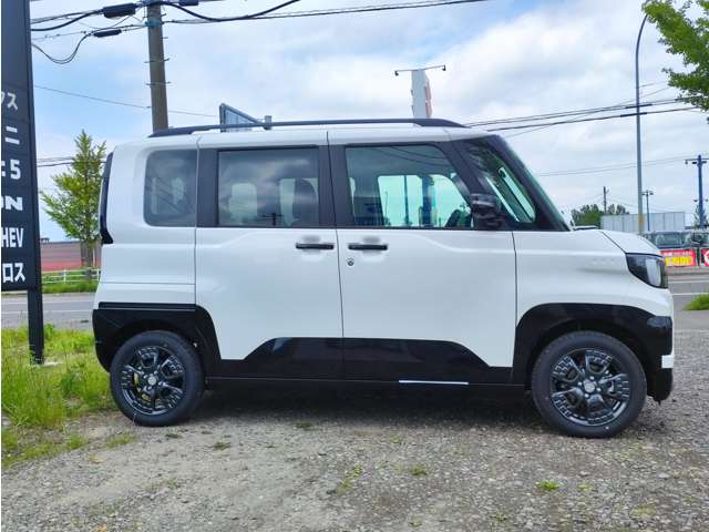 Mitsubishi Delica Mini 4