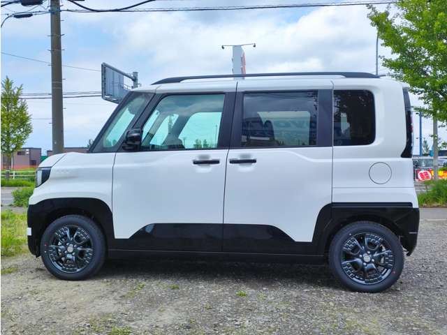 Mitsubishi Delica Mini 5