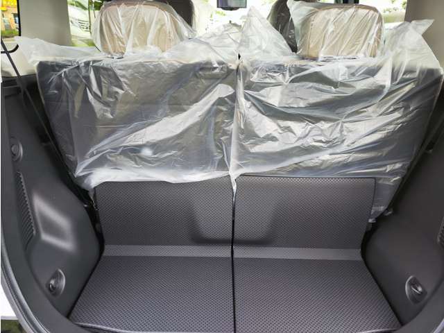 Mitsubishi Delica Mini 10