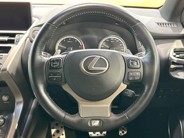 Lexus NX 11