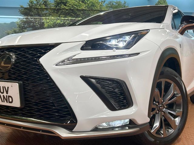 Lexus NX 12