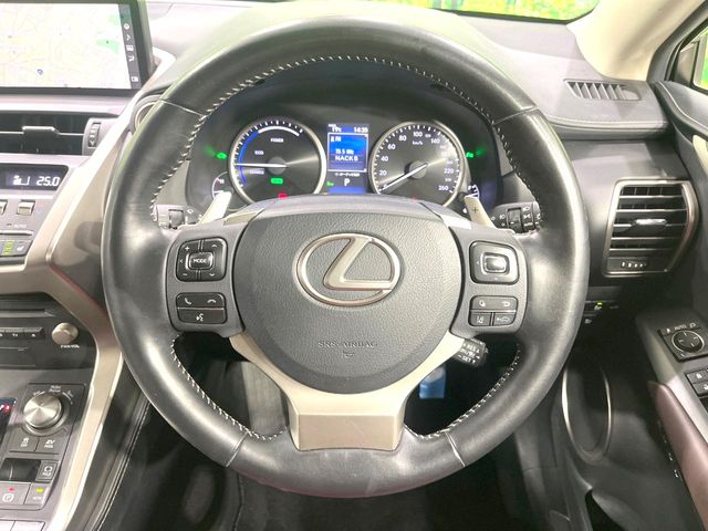 Lexus NX 11