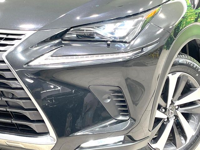 Lexus NX 12