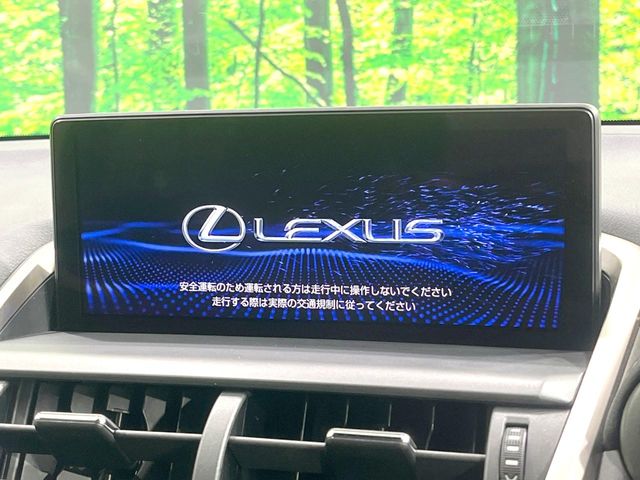 Lexus NX 3