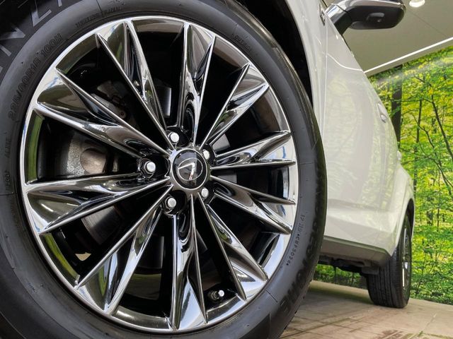 Lexus NX 13