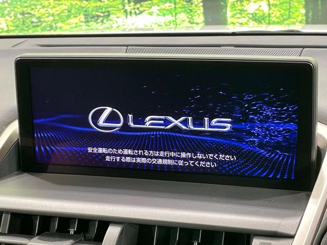 Lexus NX 4