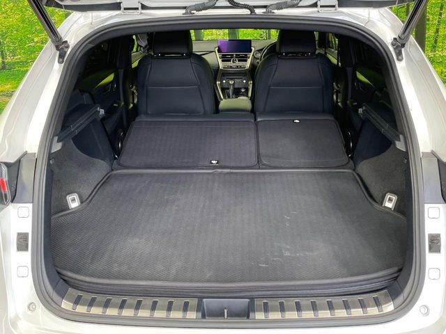 Lexus NX 10
