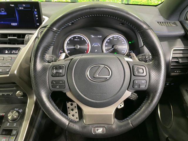 Lexus NX 11