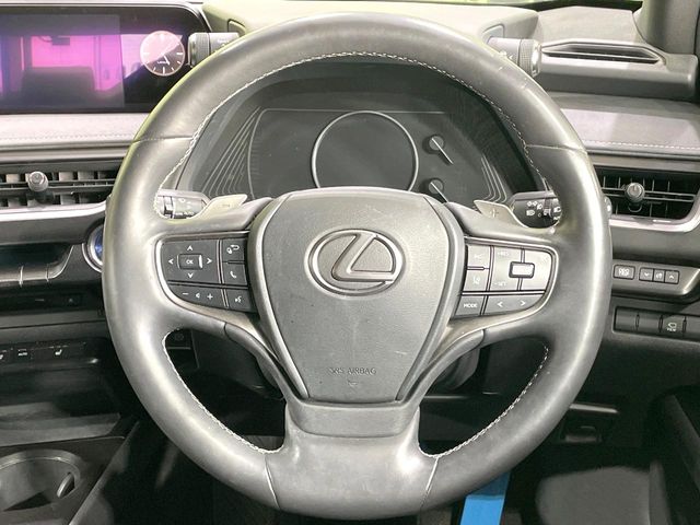 Lexus UX 11