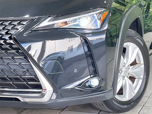 Lexus UX 12