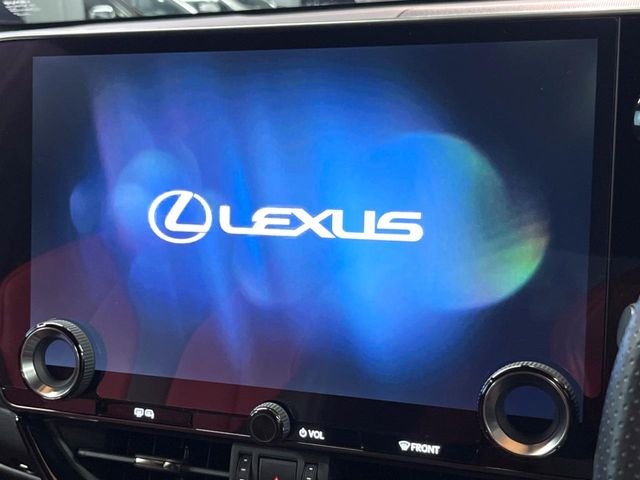Lexus NX 4
