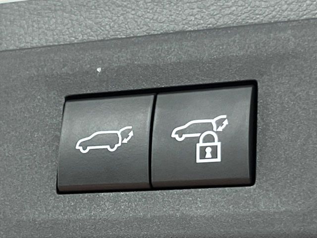 Lexus NX 9