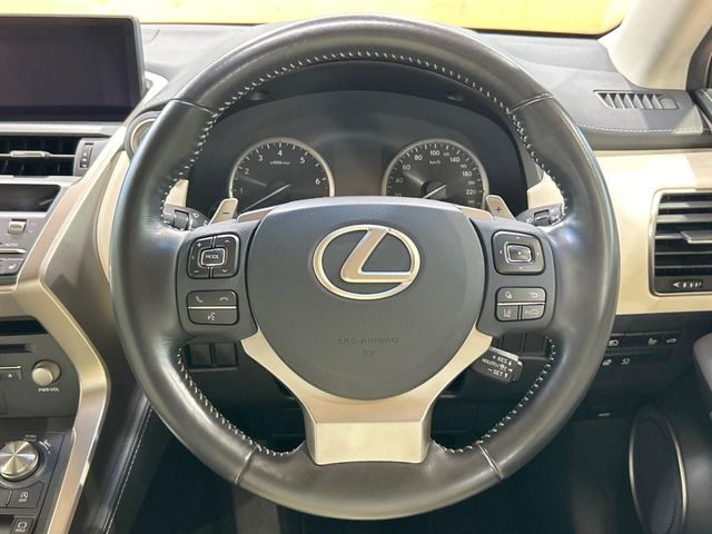 Lexus NX 11
