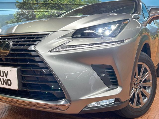 Lexus NX 12