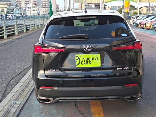 Lexus NX 11