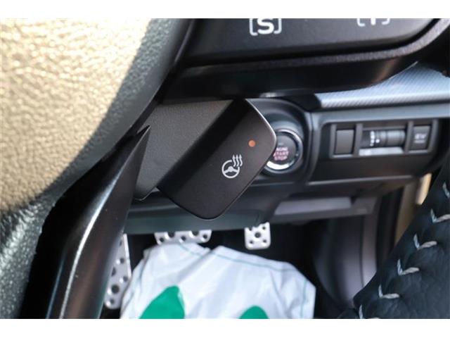 Subaru Crosstrek 9