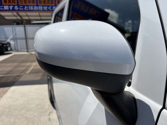 Daihatsu Taft 8