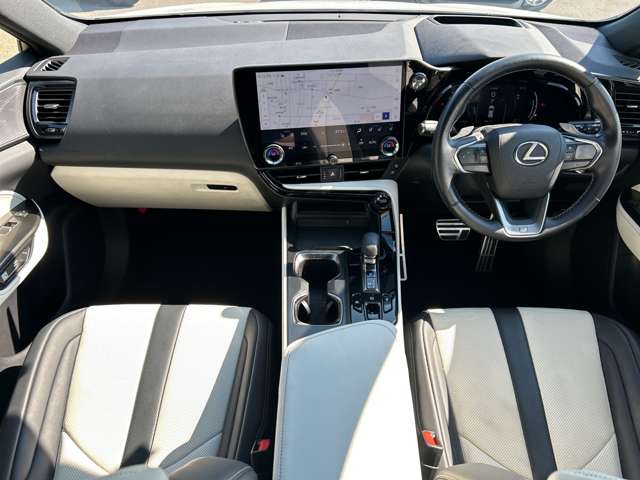 Lexus NX 4