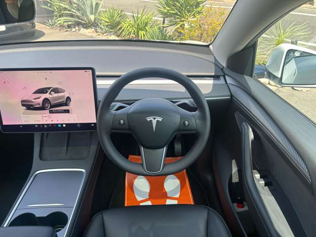 Tesla Model Y 6