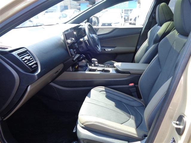 Lexus NX 11