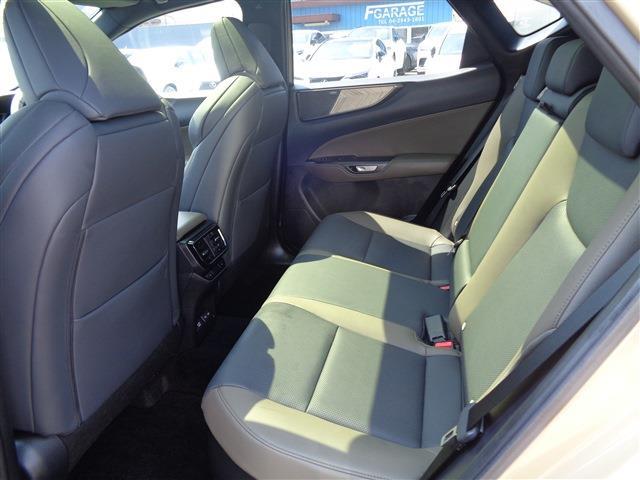 Lexus NX 12