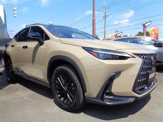 Lexus NX 3