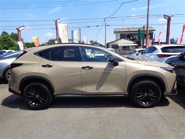 Lexus NX 4