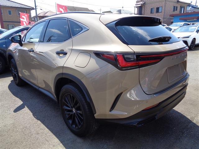 Lexus NX 6