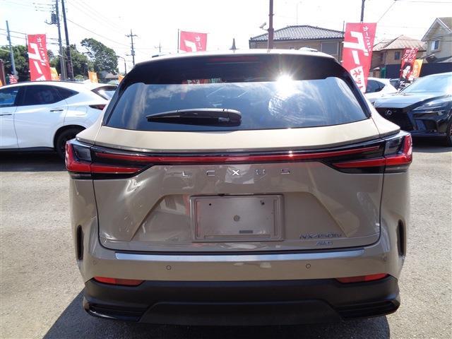 Lexus NX 7