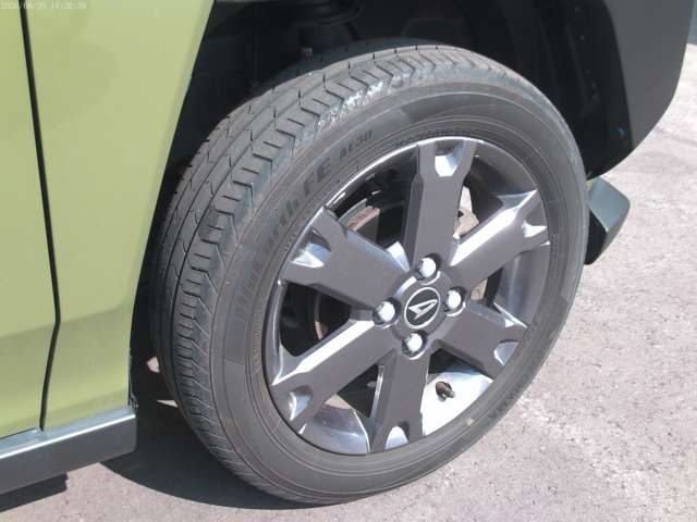 Daihatsu Taft 6
