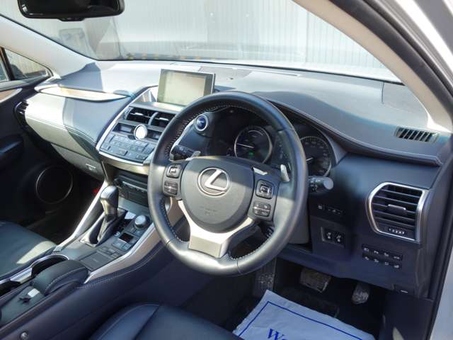 Lexus NX 11