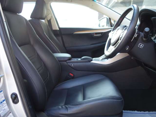 Lexus NX 12