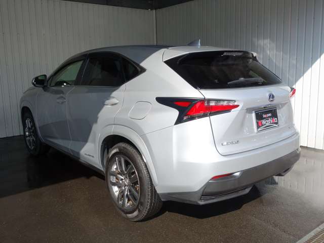 Lexus NX 6