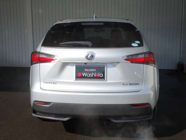 Lexus NX 7