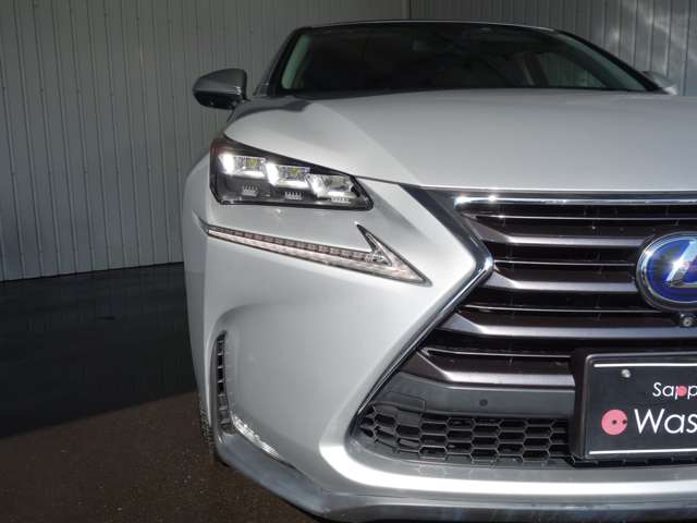 Lexus NX 10