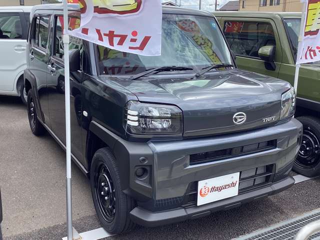 Daihatsu Taft 8