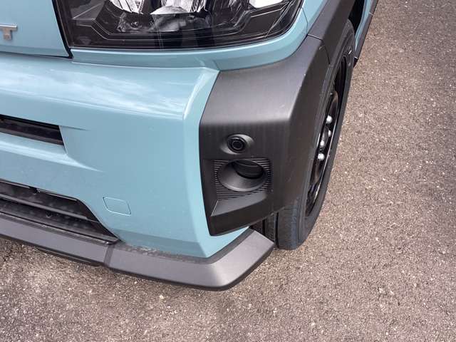 Daihatsu Taft 11