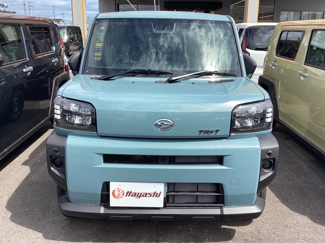 Daihatsu Taft 6