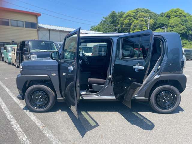 Daihatsu Taft 8