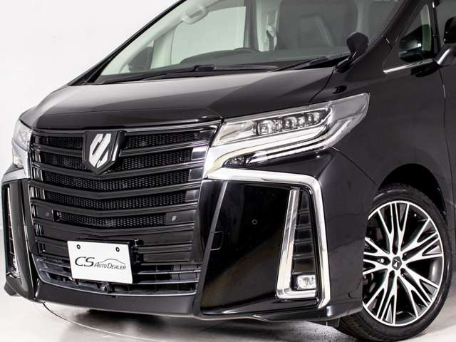 Toyota Alphard 11