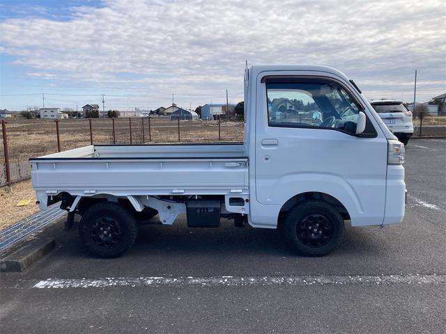 Toyota Pixis Truck 10