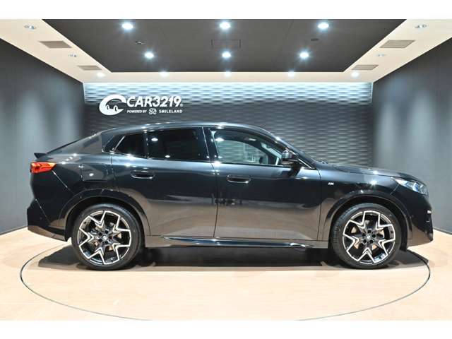 BMW X2 10