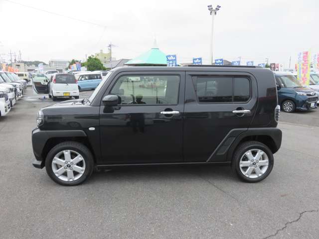 Daihatsu Taft 12